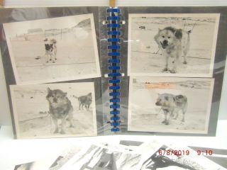 Book of Photos USN Operation Deep Freeze ' 74 Detachment Alfa Antarctica 4