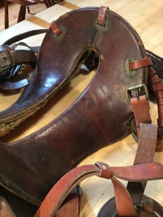 Antique Stamped US United States Army WW1 Cavalry McClellan Saddle 5