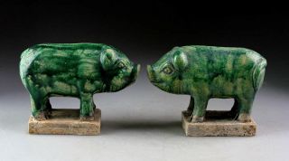 Sc Rare Chinese Ming Dynasty Tomb Pottery Figure Of Pigs