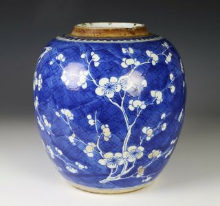 Antique Chinese Blue and White Porcelain Jar with Prunus - Kangxi Period 2
