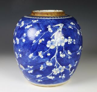 Antique Chinese Blue and White Porcelain Jar with Prunus - Kangxi Period 3
