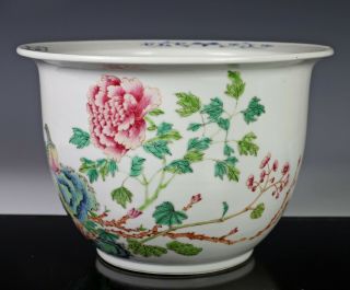 Old Chinese Famille Rose Porcelain Planter Bowl with Birds 2