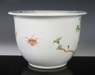 Old Chinese Famille Rose Porcelain Planter Bowl with Birds 3