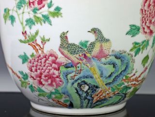 Old Chinese Famille Rose Porcelain Planter Bowl with Birds 4