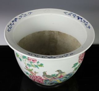 Old Chinese Famille Rose Porcelain Planter Bowl with Birds 6