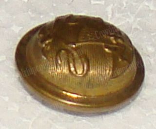 Stars,  Stripes on Shield Brass Button (Civil War Era) Scovill Mf ' g Co,  Waterbury 5