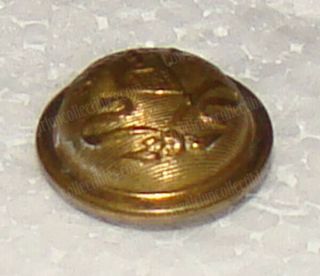 Stars,  Stripes on Shield Brass Button (Civil War Era) Scovill Mf ' g Co,  Waterbury 6