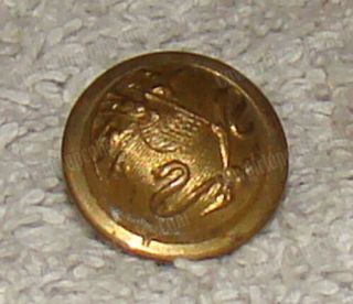 Stars,  Stripes on Shield Brass Button (Civil War Era) Scovill Mf ' g Co,  Waterbury 8