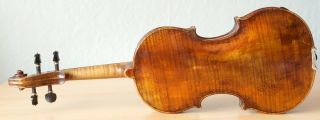 Very Old Labelled Vintage Violin " Joseph Odoardi 1785 " 小提琴 скрипка ヴァイオリン Geige