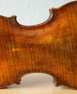 Very old labelled Vintage violin 