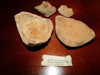Civil War Cannonball Shell Frags Recovered Shiloh Battlefield 1946 Peach Orchard 2