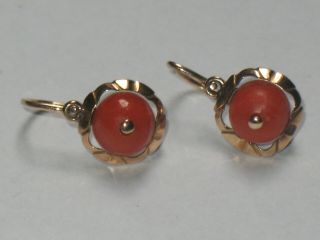 Antique Art Nouveau Coral Earrings 14 Ct Gold Redgold Ca.  1900 Wonderful