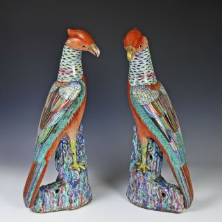 Impressive Large Antique Chinese Porcelain Phoenix Birds