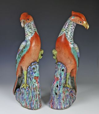 Impressive Large Antique Chinese Porcelain Phoenix Birds 3