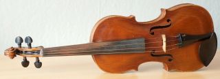 Very Old Labelled Vintage Violin " Carlo Antonio Testore " Fiddle 小提琴 ヴァイオリン Geige
