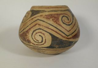 Prehistoric Casas Grandes Barbicora Polychrome Large Jar 1250 - 1400 A.  D.  AACA 3