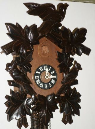 Rare Unusual Large German Black Forest August Schwer 3 Bird Cuckoo Clock