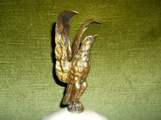 Rare Antique 19th C Grand Tour Gilded Eagle Perched On An Alabaster Marble Base