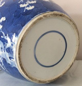 LARGE 19th C CHINESE BLUE & WHITE PRUNUS JAR - STUNNING PIECE Circa 1850 - 12 