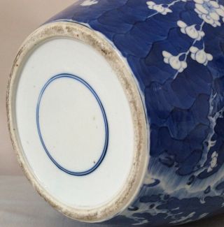 LARGE 19th C CHINESE BLUE & WHITE PRUNUS JAR - STUNNING PIECE Circa 1850 - 12 