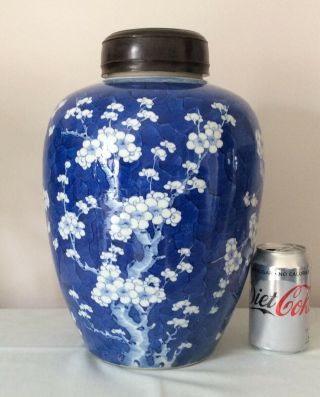 Large 19th C Chinese Blue & White Prunus Jar - Stunning Piece Circa 1850 - 12 "