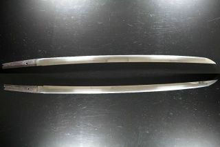Art Mountings: Authentic Japanese Katana Sword 420Yr Antique Samurai Nihonto 11