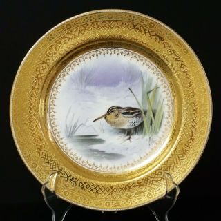 Rare Minton For Tiffany & Co Hand Painted Porcelain Bird Snipe Game Plate