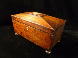 Wonderful Old British Georgian Regency Walnut Tea Caddy – Circa 1820