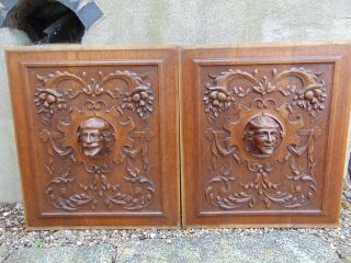 Pair Antique French Renaissance Style Solid Wood Panels Carved In High Relief