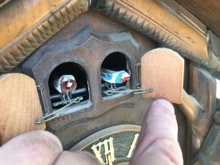 antique vtg dam wiedel black forest rabbit & Quail Cuckoo clock from Germany 2