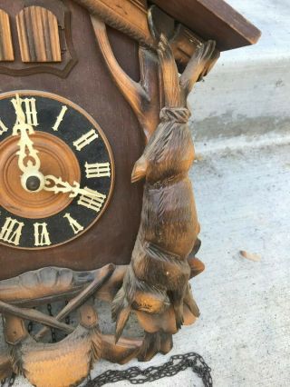 antique vtg dam wiedel black forest rabbit & Quail Cuckoo clock from Germany 4