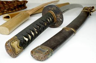 Dragon Mountings: Japanese Tachi Wakizashi Sword Antique Samurai Katana Nihonto