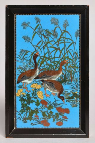 An Unusual Antique Fine Quality Japanese Cloisonne Plaque,  Meiji Period