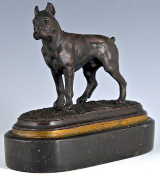 Handsome Antique C1910 Signed Moran Bronze Boxer Dog Figure Study W Stone Base