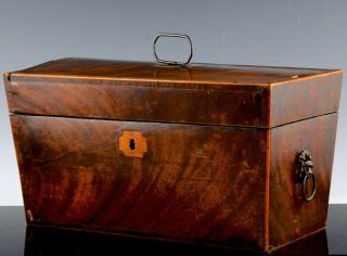 Rare Very Large C1810 Georgian Flame Mahogany Lion Handle Double Tea Caddy Box