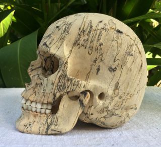 Hand Carved Wooden Sculpture Human Size Skull Realistic Wood Carving Unique 3