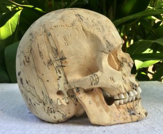 Hand Carved Wooden Sculpture Human Size Skull Realistic Wood Carving Unique 6