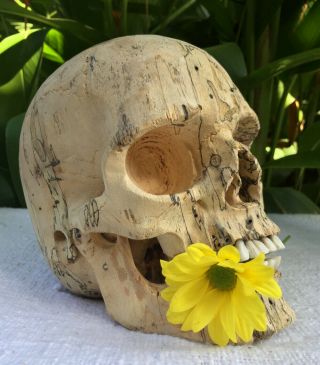 Hand Carved Wooden Sculpture Human Size Skull Realistic Wood Carving Unique 7