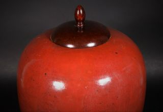 Chinese Ox Blood Red Glaze Vase Jar - 19th Century Qing Dynasty 4