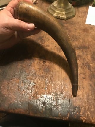18th Century Rev War Carved Tip Powder Horn 10 Inches Carved Butt Cap 1780 9