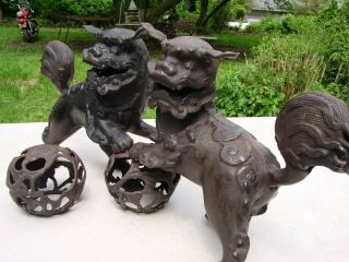 Antique Foo Dogs Solid Iron Statues