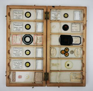 12 Vintage Antique Microscope Slides In Fitted Box / Dufay Color Lumiere Film