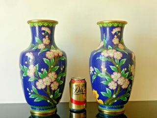 Antique Chinese Large Cloisonne Gilt Metal Blue & Pink Flower Vases.
