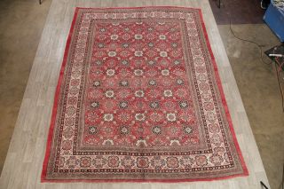 Sarouk Persian Wool Rug Hand - Knotted Geometric Oriental Mahal Area Rug 10 x 13 2