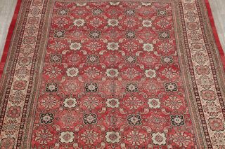 Sarouk Persian Wool Rug Hand - Knotted Geometric Oriental Mahal Area Rug 10 x 13 3