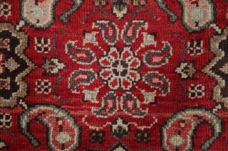 Sarouk Persian Wool Rug Hand - Knotted Geometric Oriental Mahal Area Rug 10 x 13 8