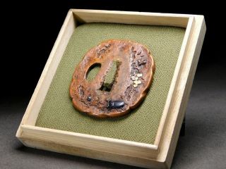 Very Rare Beetle Tsuba 18 - 19thc Japanese Edo Tsuba Koshirae Antique