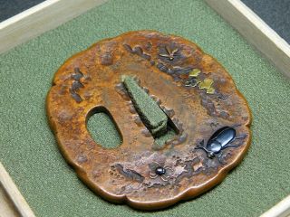 Very Rare Beetle TSUBA 18 - 19thC Japanese Edo Tsuba Koshirae Antique 2