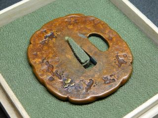 Very Rare Beetle TSUBA 18 - 19thC Japanese Edo Tsuba Koshirae Antique 3