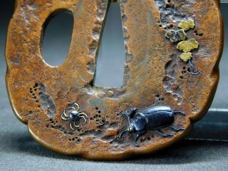 Very Rare Beetle TSUBA 18 - 19thC Japanese Edo Tsuba Koshirae Antique 4